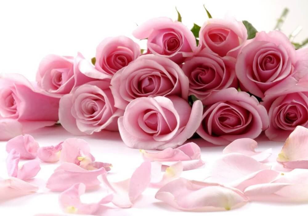 flores-para-bodas-de-primavera-rosas