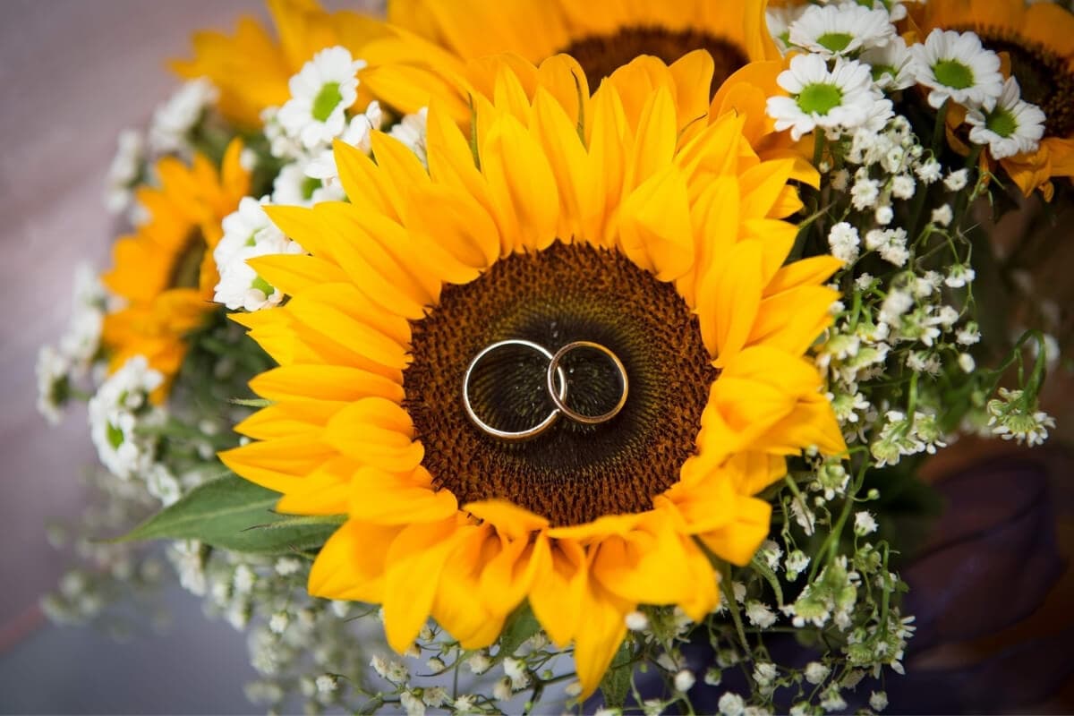 boda muy amarilla
