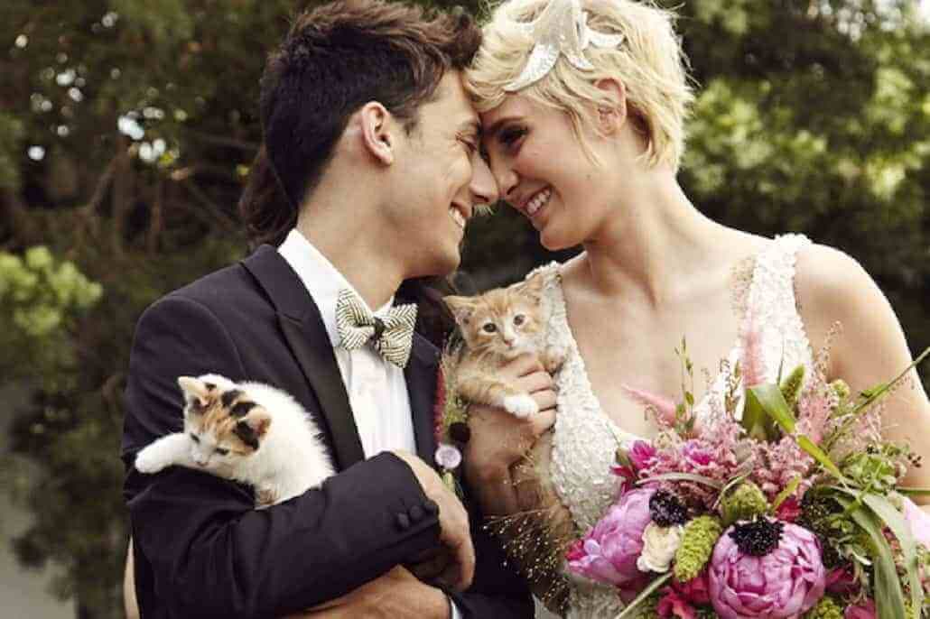boda con mascotas