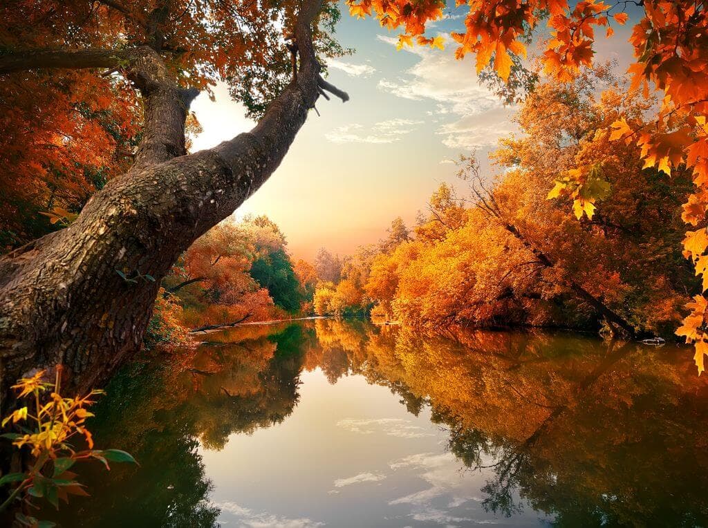 luna de miel en otoño