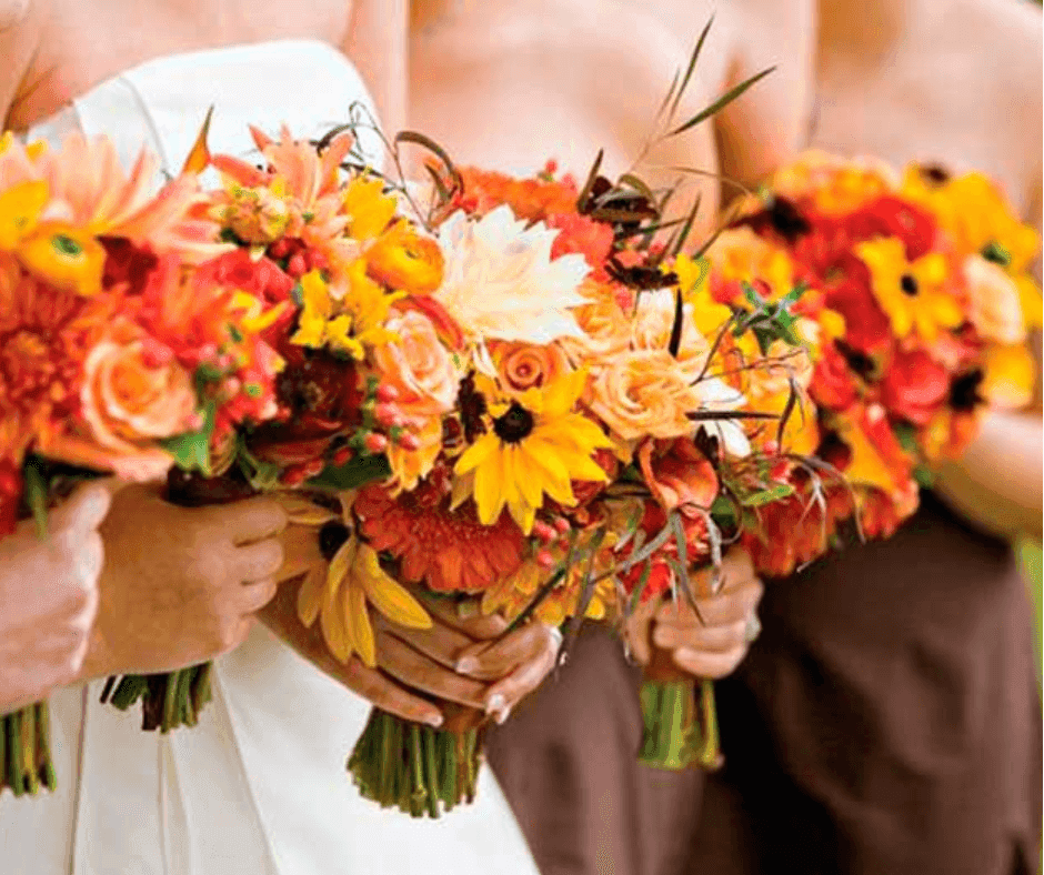 _boda naranja